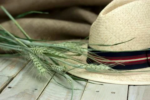 Straw hat on rustic surface Stock Photos