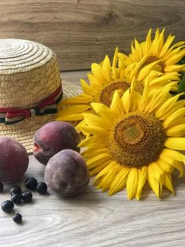 Straw Hat sunflowers on the table Stock Photos