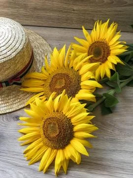 Straw Hat sunflowers on the table Stock Photos