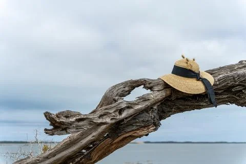 Straw hat on a tree arch overlooking the lagoon Stock Photos