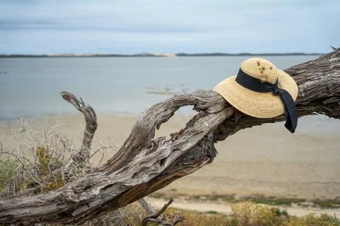 Straw hat on a tree arch overlooking the lagoon Stock Photos