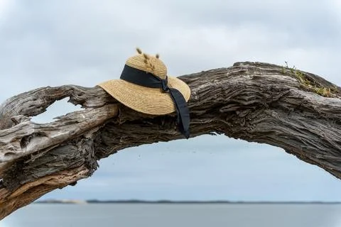 Straw hat on a tree arch overlooking the lagoon Stock Photos