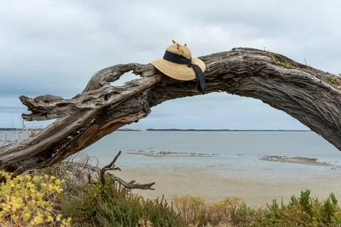 Straw hat on a tree arch overlooking the lagoon Stock Photos