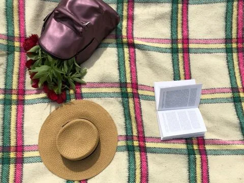 Straw hat, violet backpack, open book on a checkered blanket on the grass, Top Stock Photos