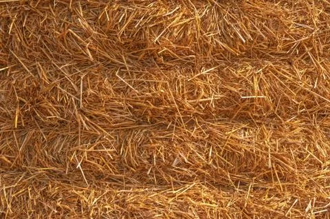 Straw Hay Background Stock Photos