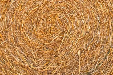 Straw Hay Background Stock Photos