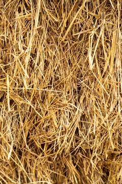 Straw Hay Bale Texture Background for Harvest or Farm Theme Stock Photos
