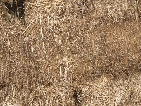Straw Hay in a Barn Stock Footage