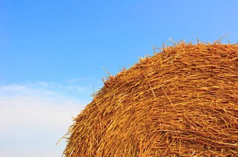 Straw haystack Stock Photos