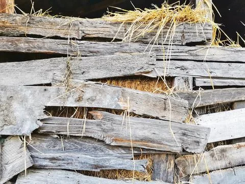 The straw in the haystack. Foto stock