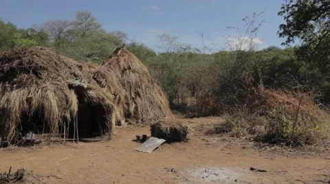 Straw Hut 3 Stock Footage 60561648