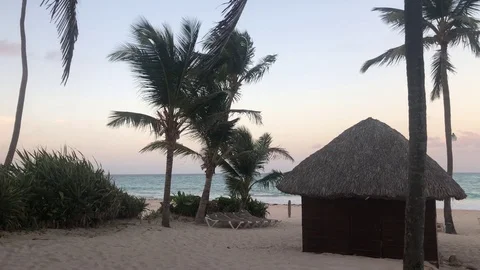 Straw hut with palm trees on the ocean Stock Footage 104453765