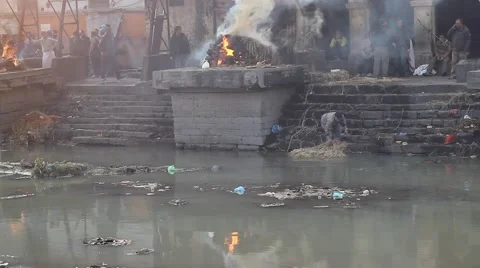 Straw for kindling clean in the sacred river Bagmati Stock Footage 59117256