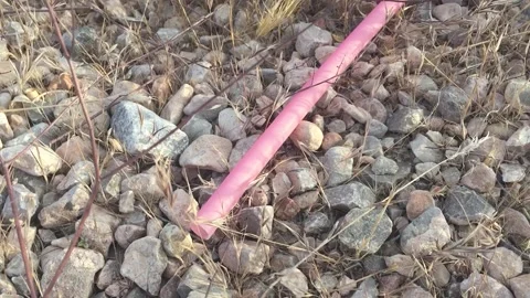Straw Litter and garbage in the desert Vídeo Stock 134906788