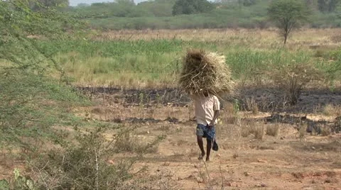 Straw Man 스톡 동영상 10772241