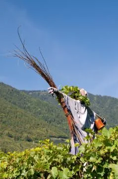 Straw Man Stock Photos