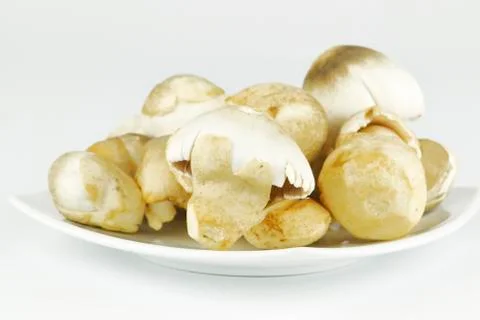 Straw mushroom  on white background Stock Photos