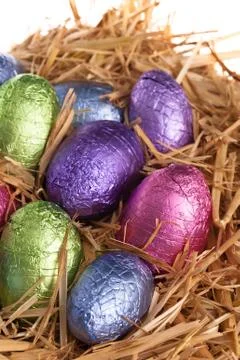 Straw nest with chocolate easter eggs Stock Photos