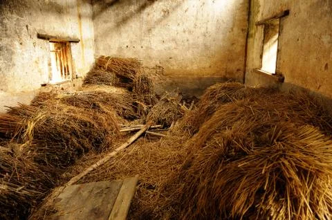 Straw in old grange Stock Photos
