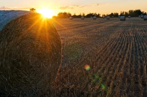 A straw pack in a field in the evening Stock Photos