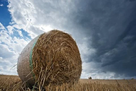 A straw pack in a field in summer Stock Photos