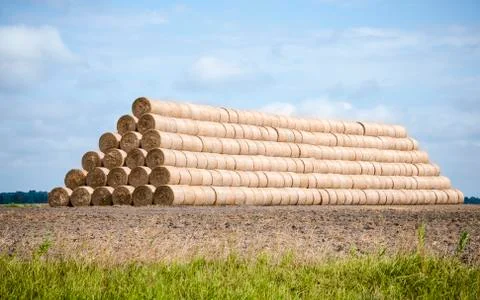 Straw in packaged rolls Stock Photos