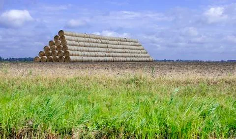 Straw in packaged rolls Stock Photos