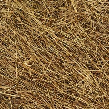 Straw Stock Photos