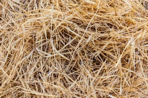Straw Stock Photos