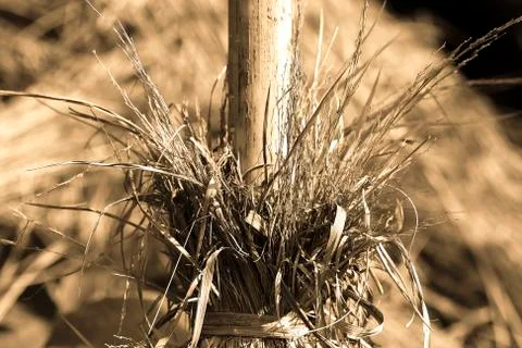 Straw Stock Photos