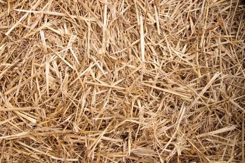 Straw Foto stock