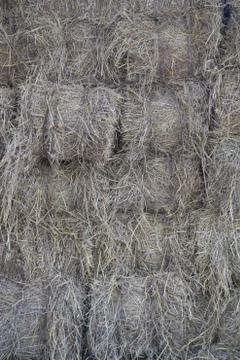 Straw Stock Photos