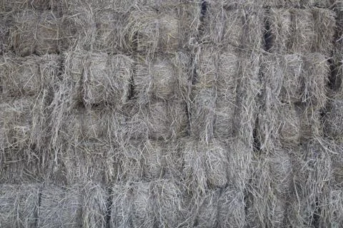 Straw Stock Photos