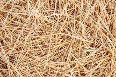 Straw Stock Photos