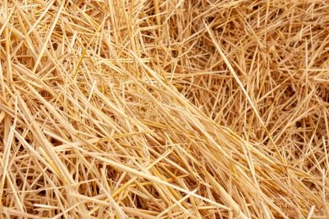Straw Foto stock