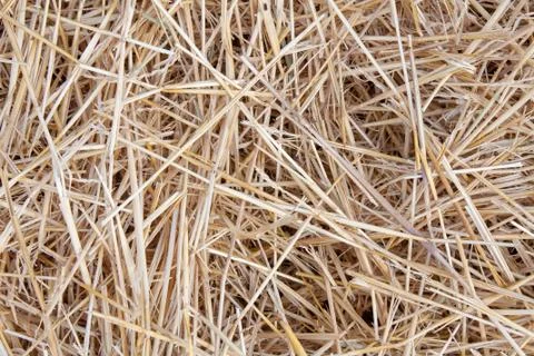 Straw Stock Photos