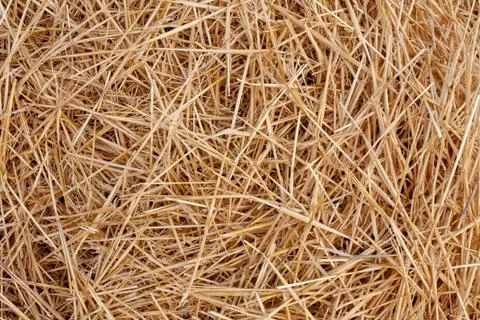 Straw Stock Photos