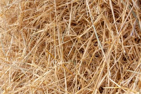 Straw Stock Photos
