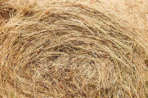 Straw Stock Photos