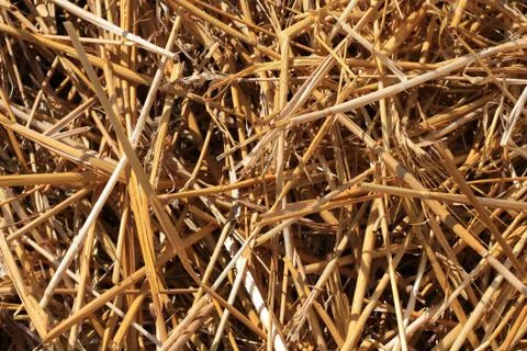 Straw Pile Stock Photos
