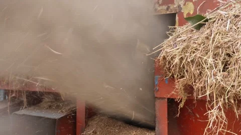 Straw Processing Machine Stock Footage 333922402