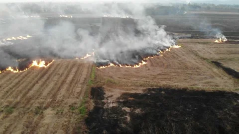 Straw rice burn evening with smoke after harvest impact to air pollution Stock Footage 145206735