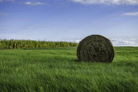 Straw Roll under a Cloudy Blue Sky in an Agricultural Landscape Stock Photos