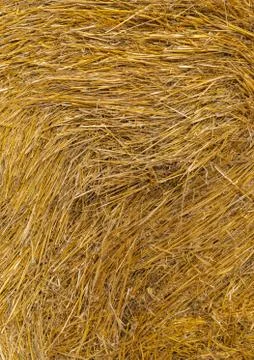 Straw rolled up as a background Stock Photos