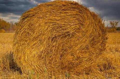 Straw is rolled into a roll Stock Photos