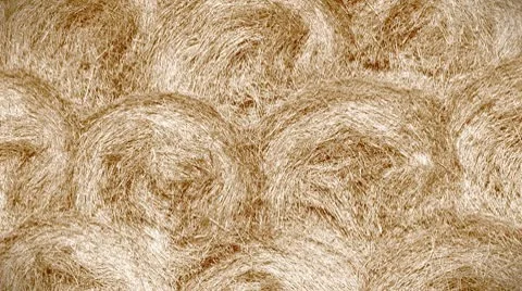 Straw rolls background Video stock 8911502