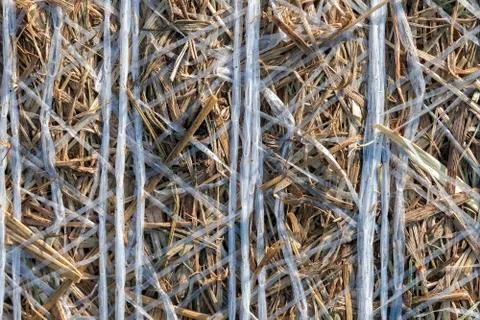 Straw rolls - background - texture Stock Photos