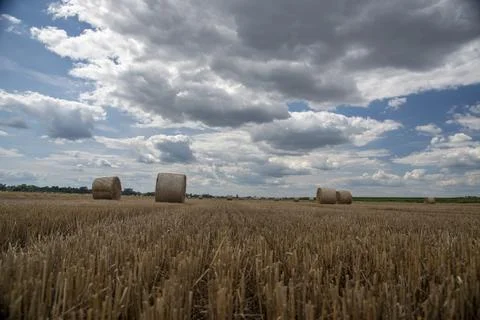 Straw rolls on the field Stock Photos