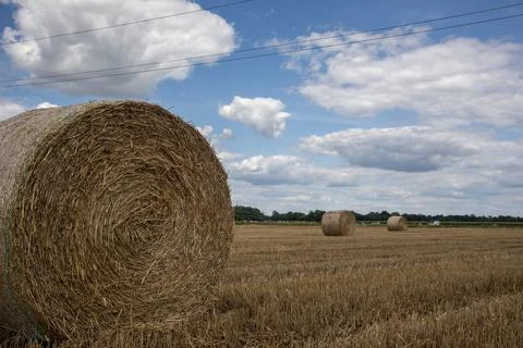 Straw rolls on the field Stock Photos