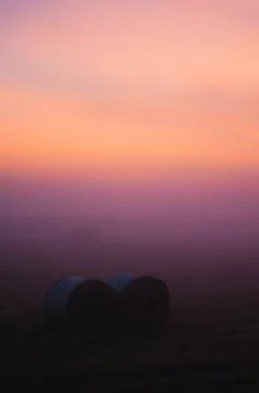 Straw rolls in the field at the sunset. Stock Photos
